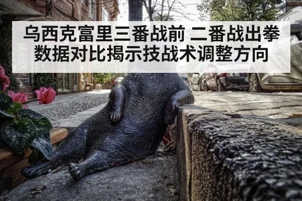 乌西克富里三番战前 二番战出拳数据对比揭示技战术调整方向（jiuyou game）