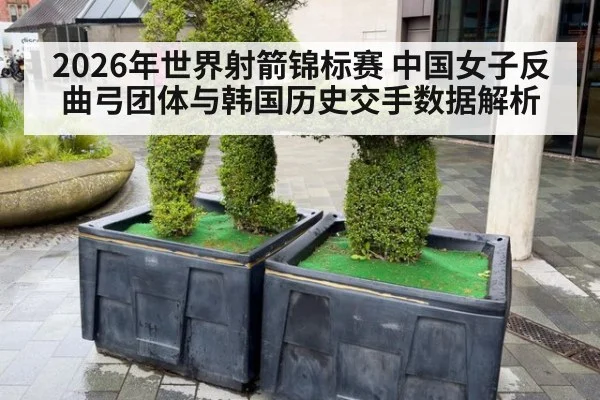 2026年世界射箭锦标赛 中国女子反曲弓团体与韩国历史交手数据解析 - jiuyou game
